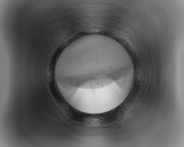 X0000091640743200709201108