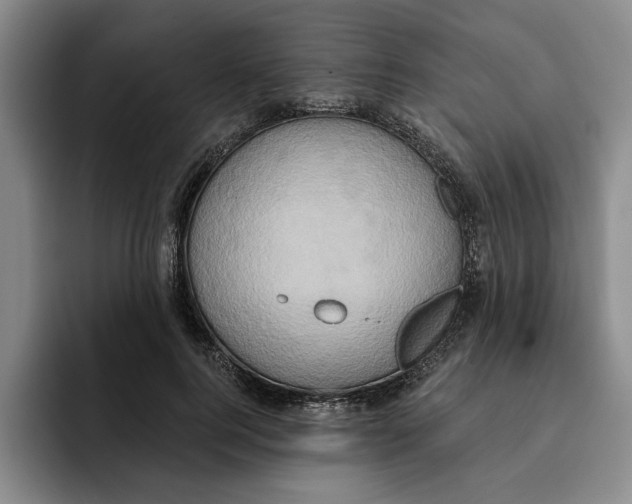 X0000091640744200709201108