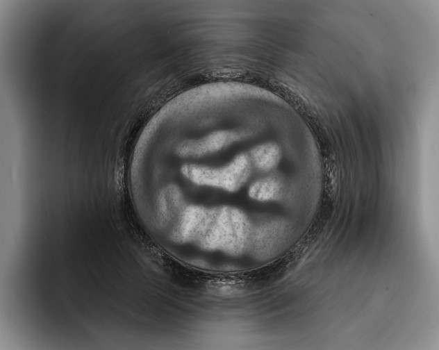 X0000091640745200709201108
