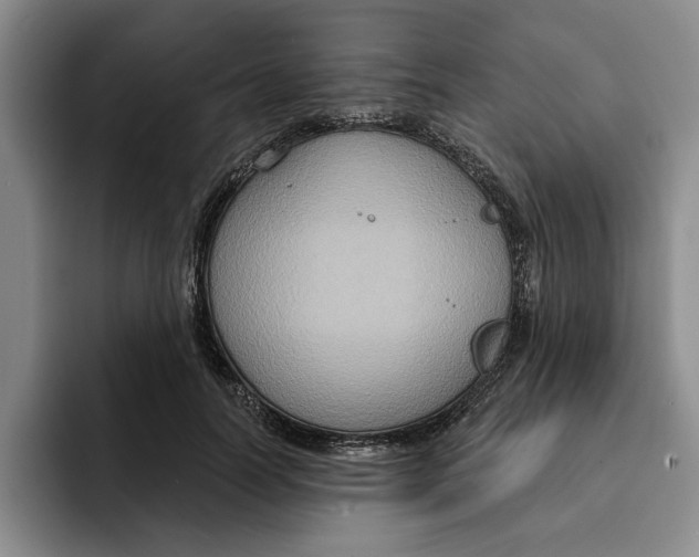 X0000091640746200709201108