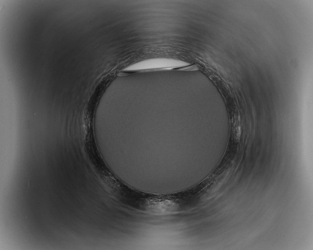 X0000091640747200709201108