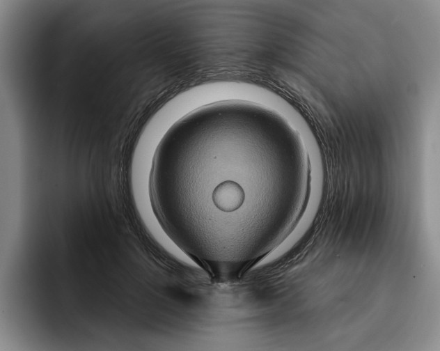 X0000091640748200709201108