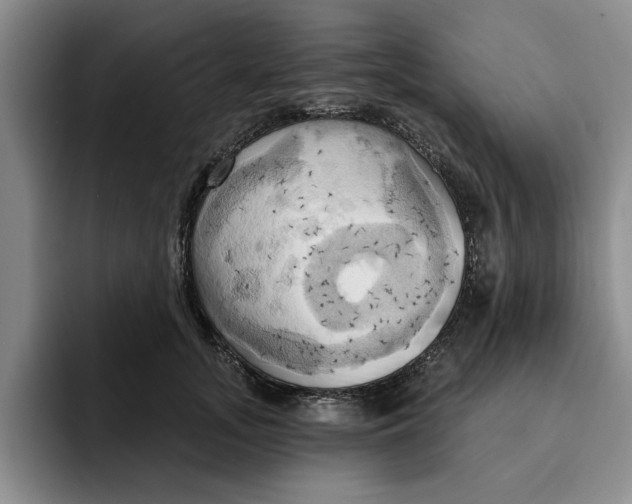 X0000091640755200709201108