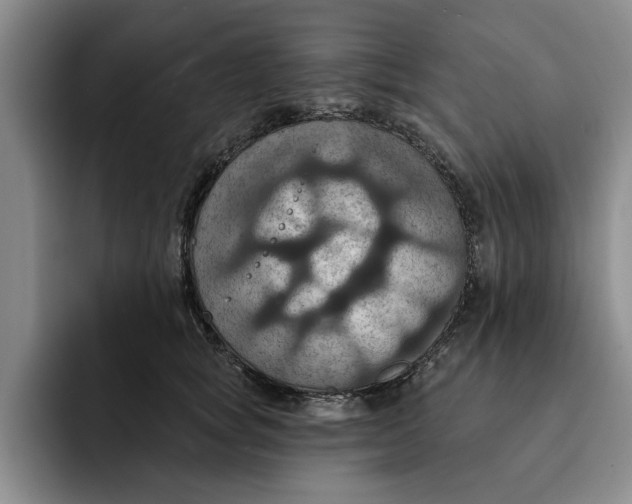X0000091640757200709201108
