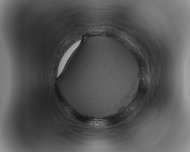 X0000091640758200709201108
