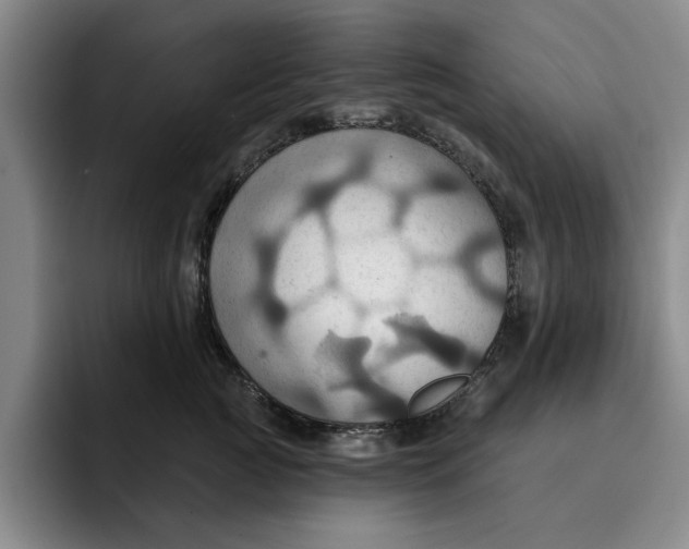 X0000091640761200709201108