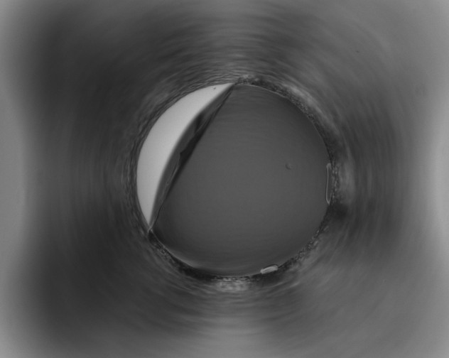 X0000091640762200709201108