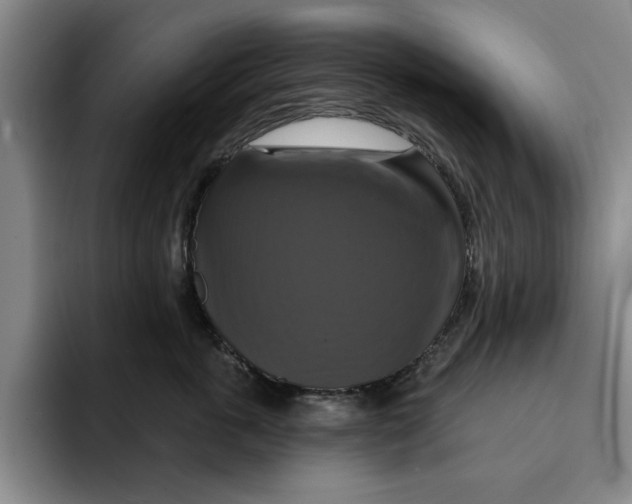 X0000091640763200709201108