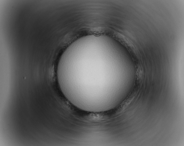 X0000091640764200709201108
