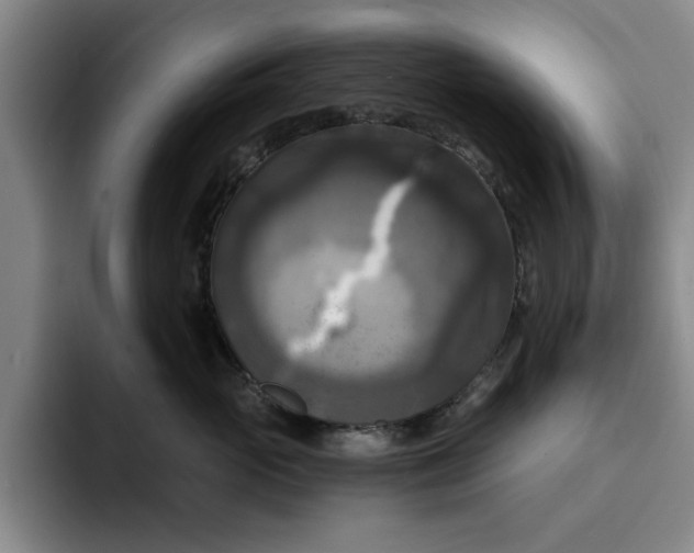 X0000091640765200709201108