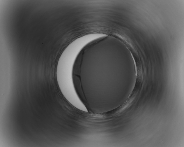 X0000091640766200709201108