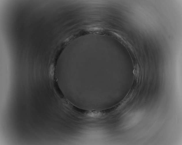 X0000091640767200709201108