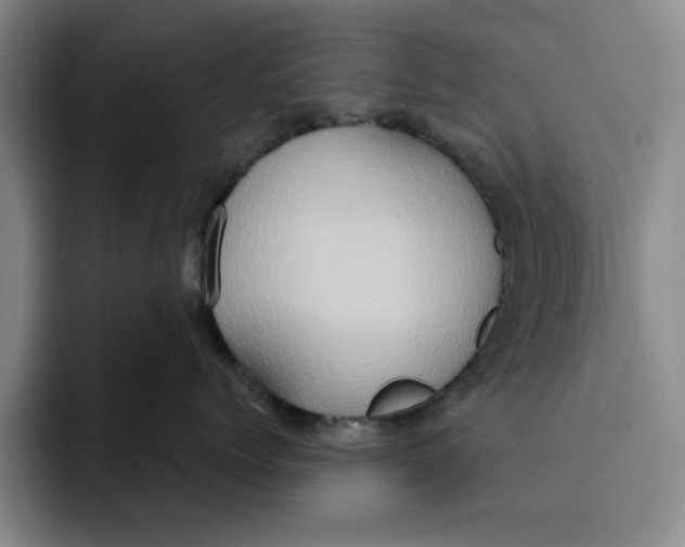 X0000091640768200709201108