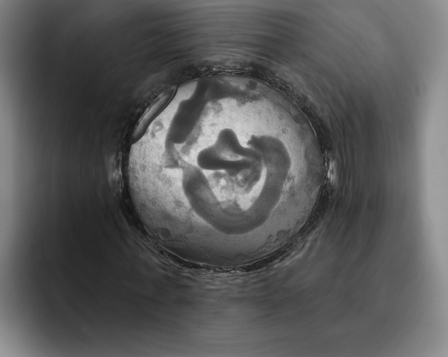X0000091640771200709201107