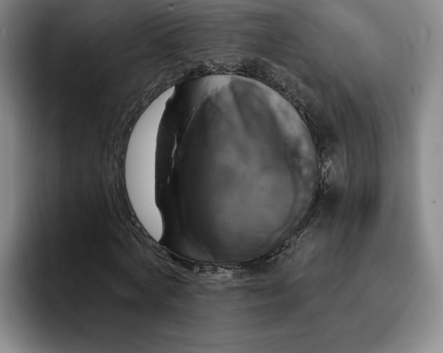 X0000091640772200709201107