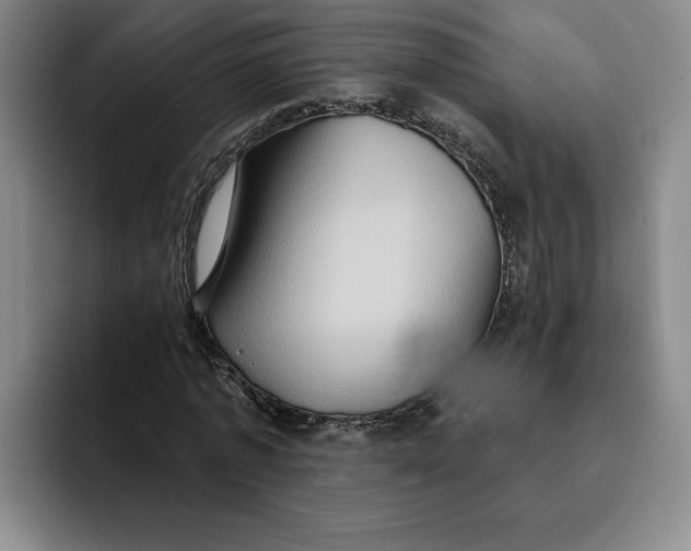 X0000091640773200709201107