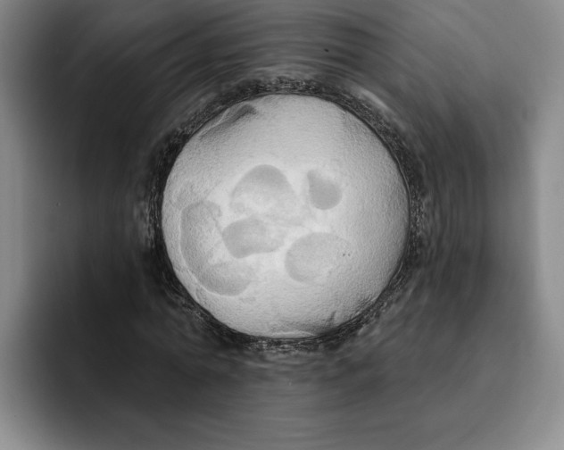 X0000091640774200709201107