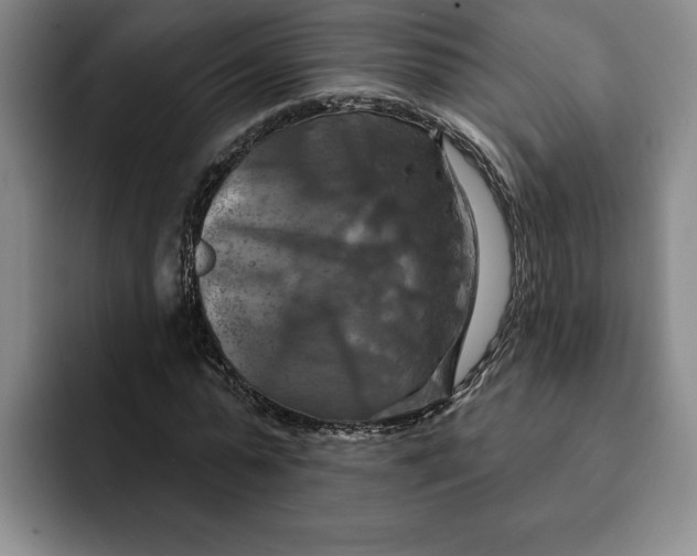 X0000091640775200709201107
