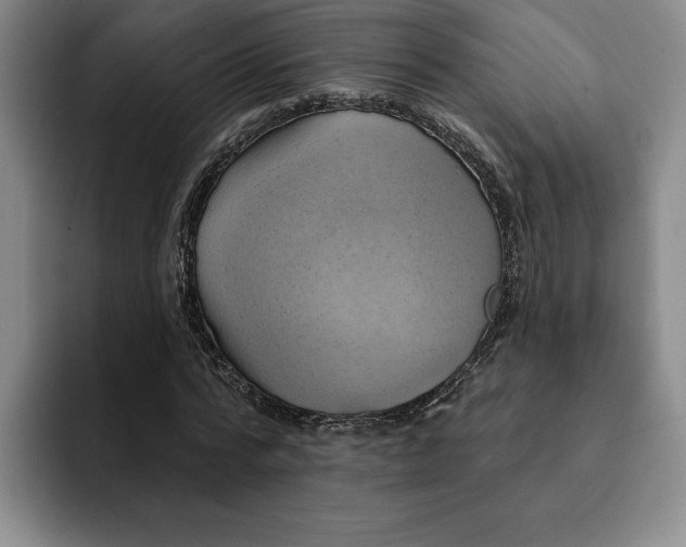 X0000091640776200709201107