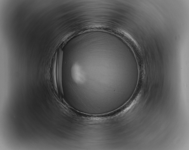 X0000091640777200709201107