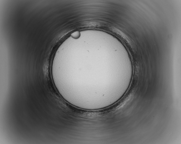 X0000091640778200709201107