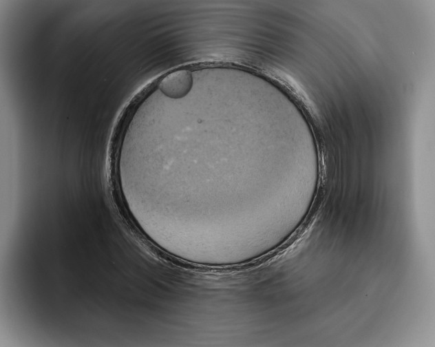 X0000091640780200709201107