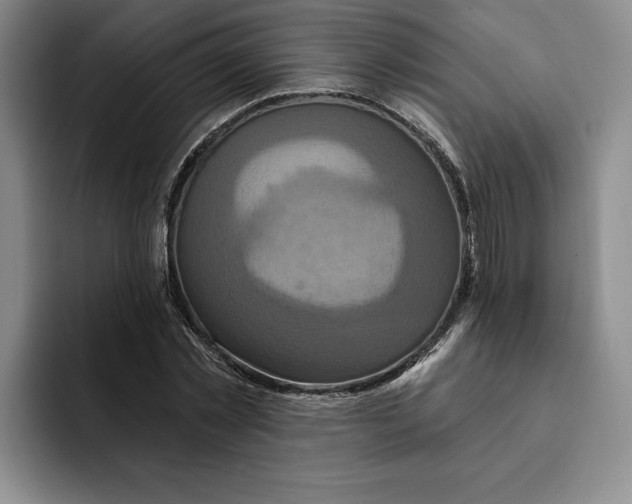 X0000091640781200709201107
