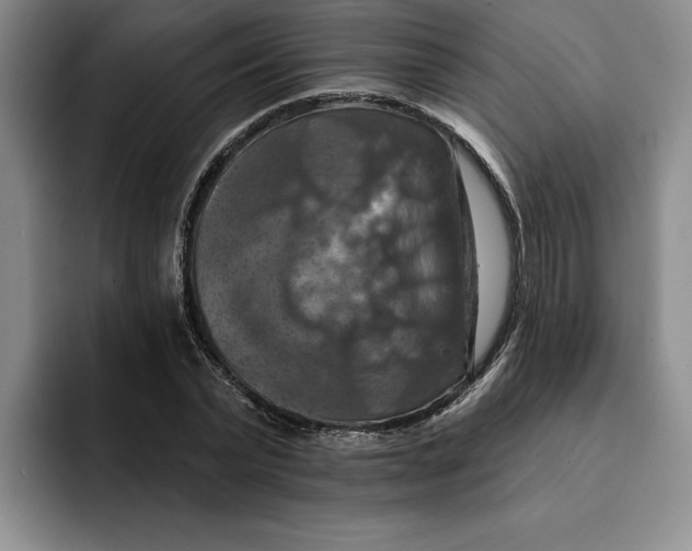 X0000091640783200709201107