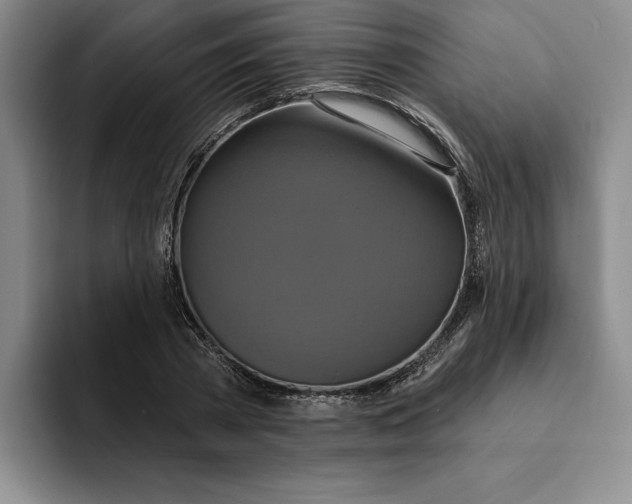 X0000091640785200709201107