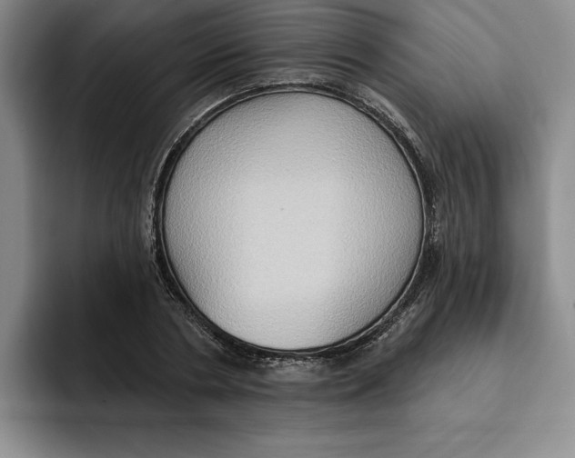 X0000091640786200709201107