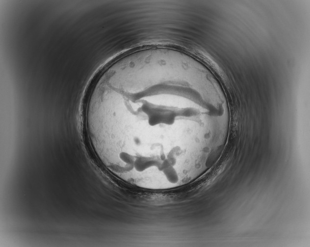 X0000091640787200709201107