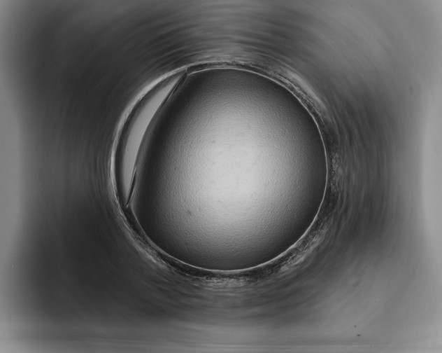 X0000091640788200709201107