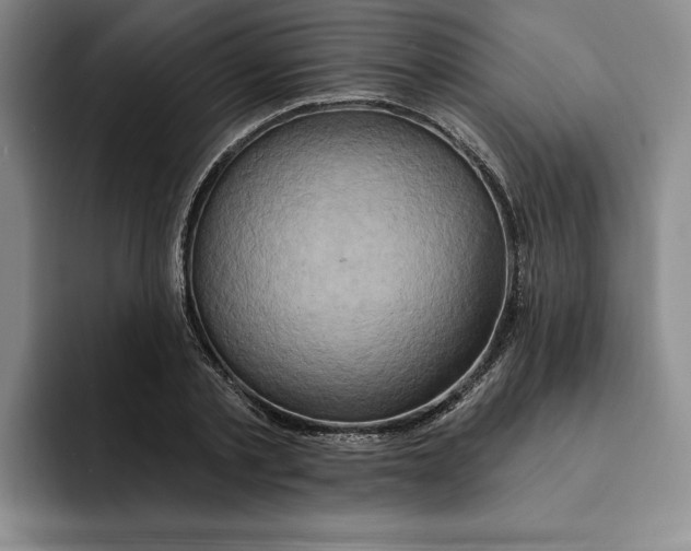 X0000091640789200709201107