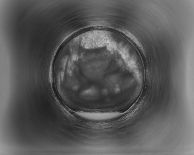 X0000091640791200709201107