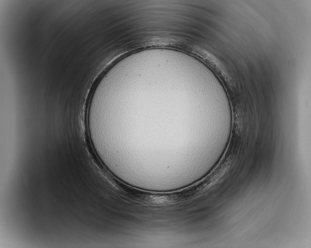 X0000091640794200709201107