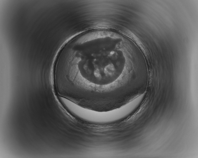 X0000091640795200709201107