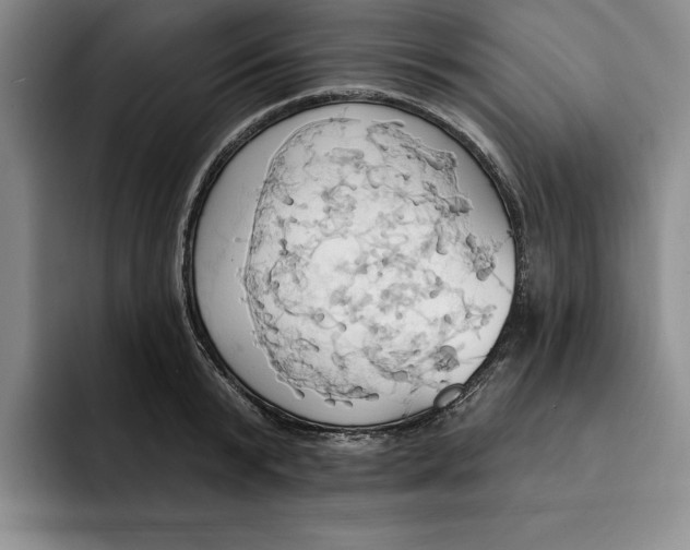 X0000091640799200709201107