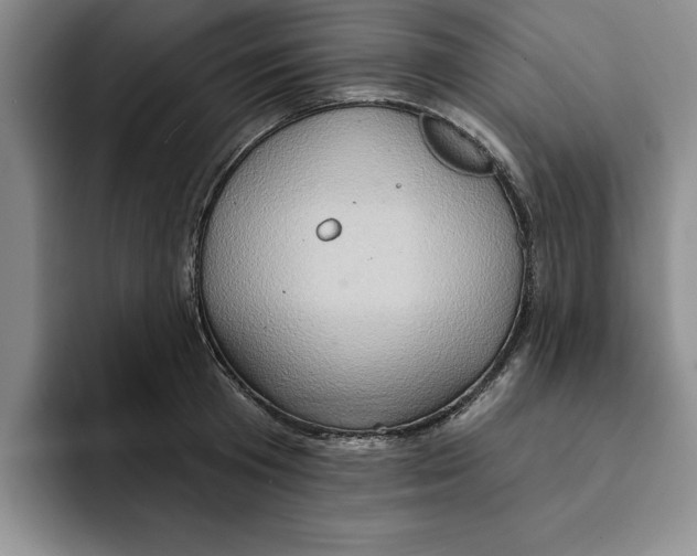 X0000091640801200709201107