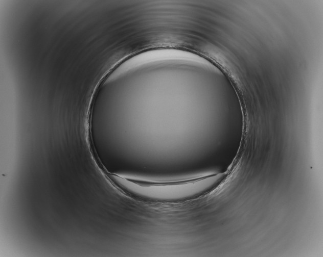 X0000091640802200709201107