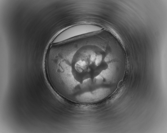 X0000091640803200709201107