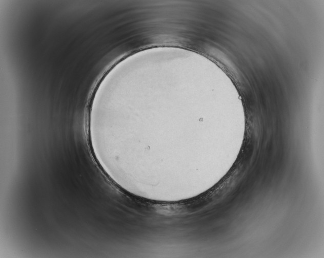 X0000091640804200709201107