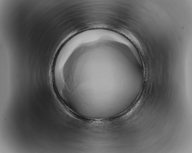 X0000091640806200709201107