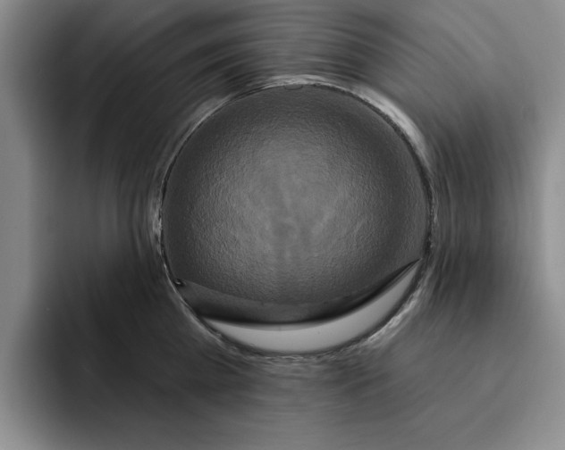 X0000091640809200709201107