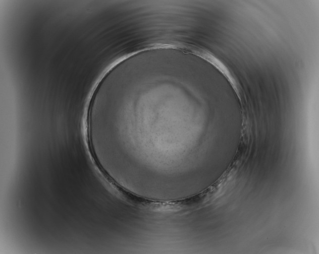 X0000091640811200709201107