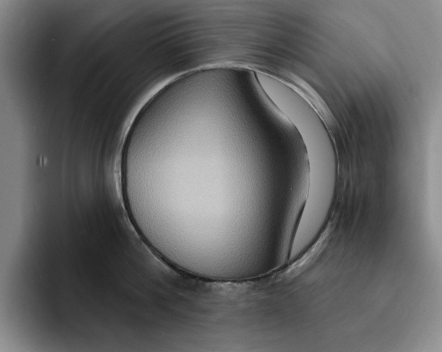 X0000091640812200709201107