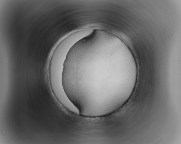 X0000091640816200709201107