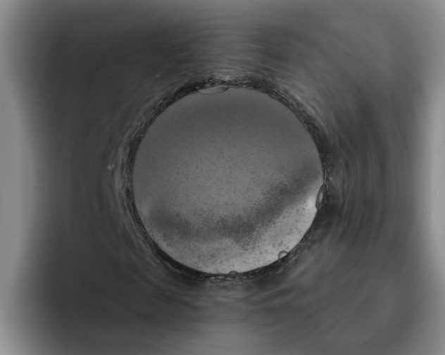 X0000091640817200709201106