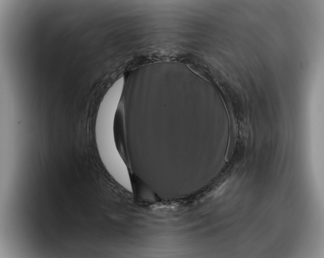 X0000091640818200709201106