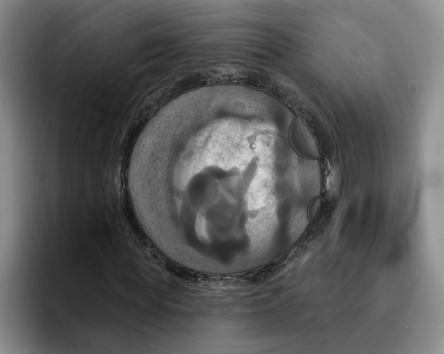 X0000091640819200709201106