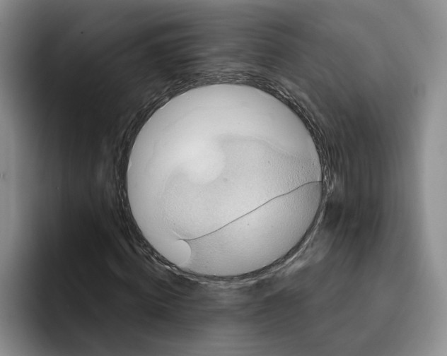 X0000091640820200709201106